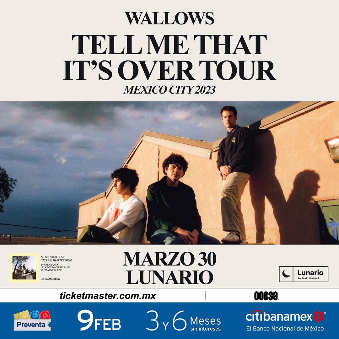 Wallows anuncian su primer concierto en solitario en la Ciudad de ...